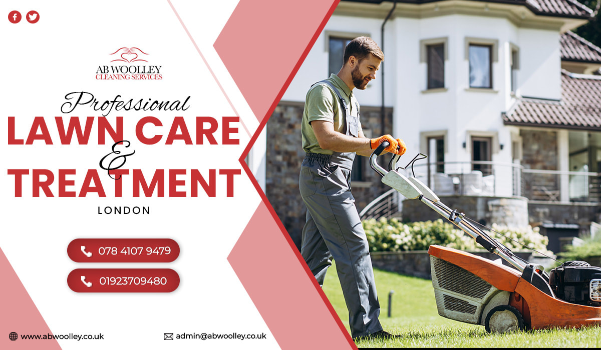 PROFESSIONAL LAWN CARE AND TREATMENT London